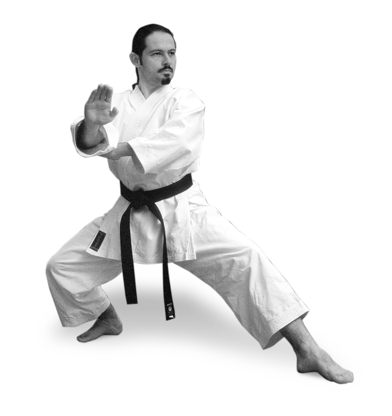 Eine Person in Karatestellung