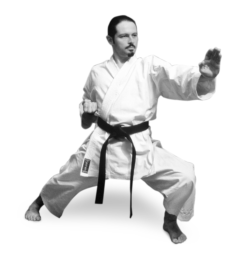 Eine Person in Karatestellung