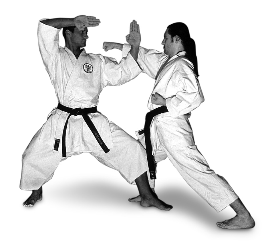 Zwei Personen in Karatestellung