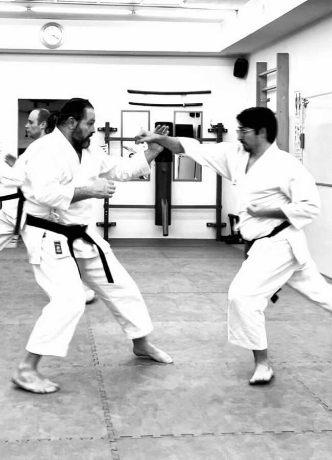 Zwei Karatekas beim Kampftraining.